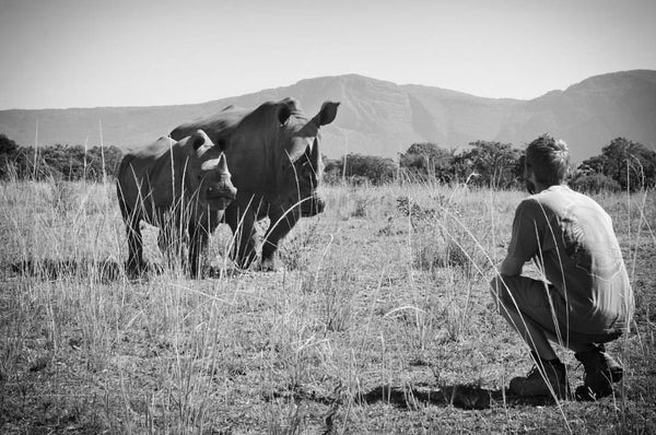 james corwin fine art montana wildlife artist with rhinos in south africa