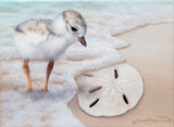 Baby plover chick finds a sand dollar on a beach uncovered by waves and sea foam from the ocean. An oil painting by wildlife artist James Corwin.