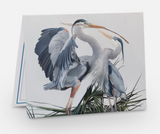 Bird Watcher Notecard Pack