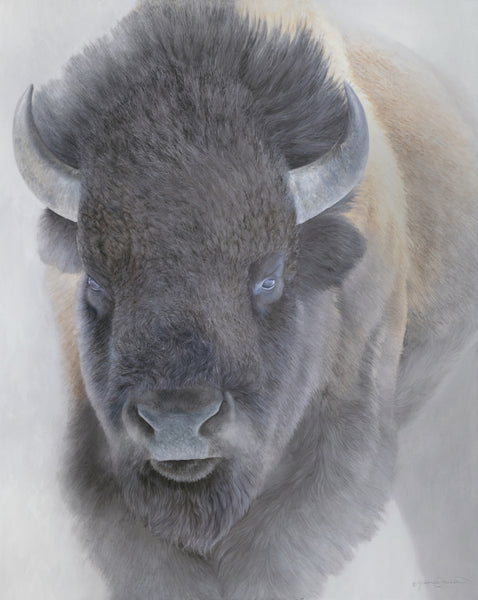 Big Bison