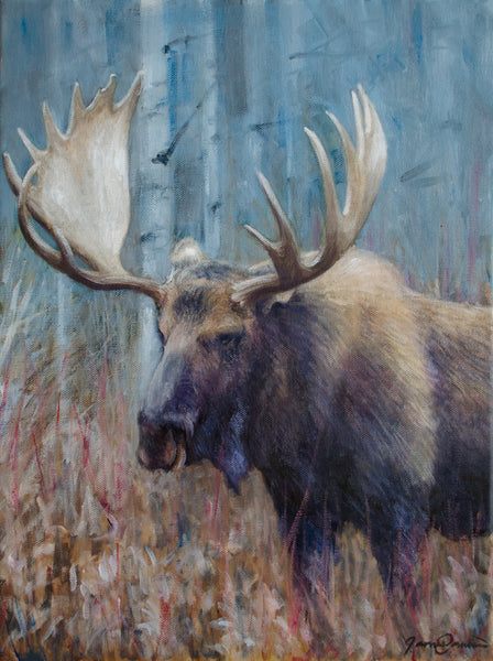 Fall Moose Study - Open Edition