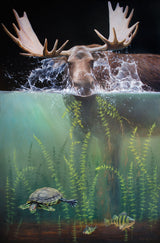 moose in water splashing eating seaweed turtle and perch fish swim away wildlife art by james corwin painting