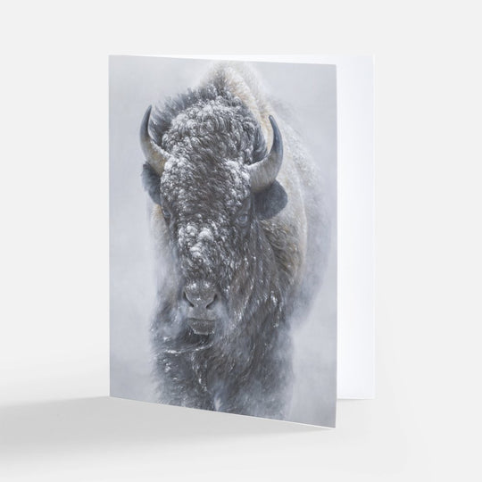 Bison Notecard Pack