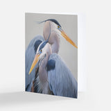 Bird Watcher Notecard Pack