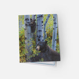 Bear Notecard Pack