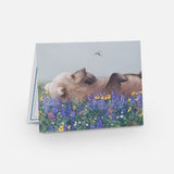 Bear Notecard Pack