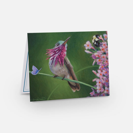 Bird Watcher Notecard Pack